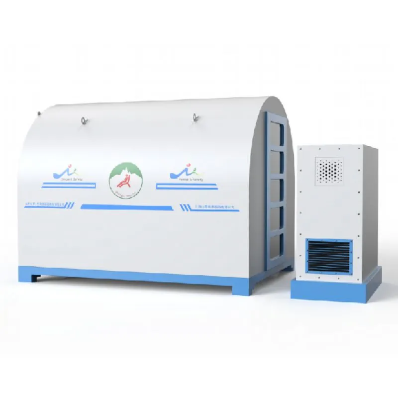 12-Kesê Odeya Hîpobarîk Rûniştî